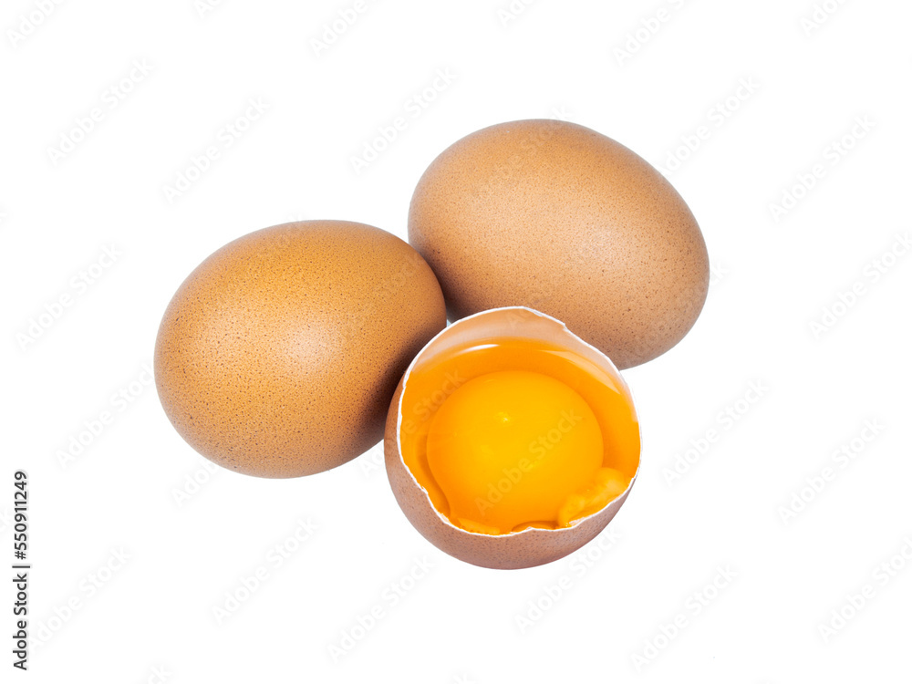 egg isolate on white