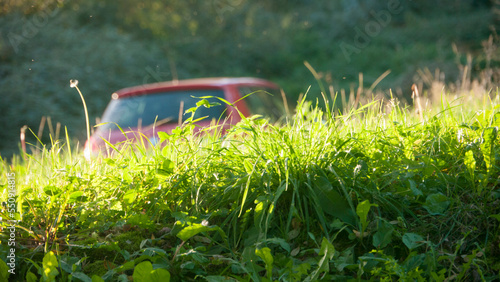 Wallpaper Mural Coche rojo aparcado tras unos arbustos Torontodigital.ca