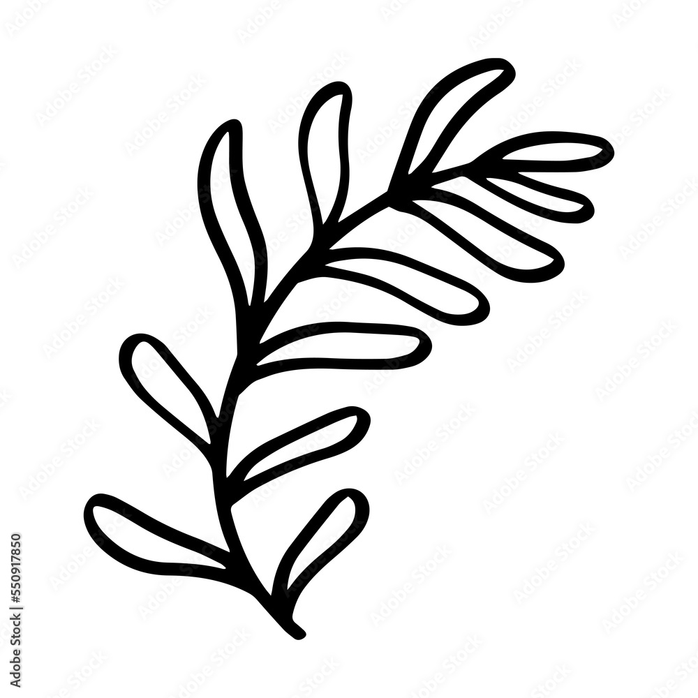 Leaf romantic hand drawn illustration Leaf romantic hand drawn illustration