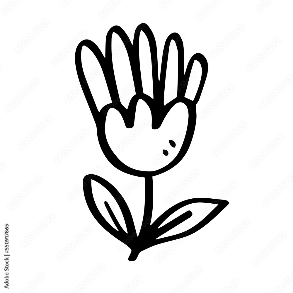Fototapeta premium chamomile daisy hand drawn illustration