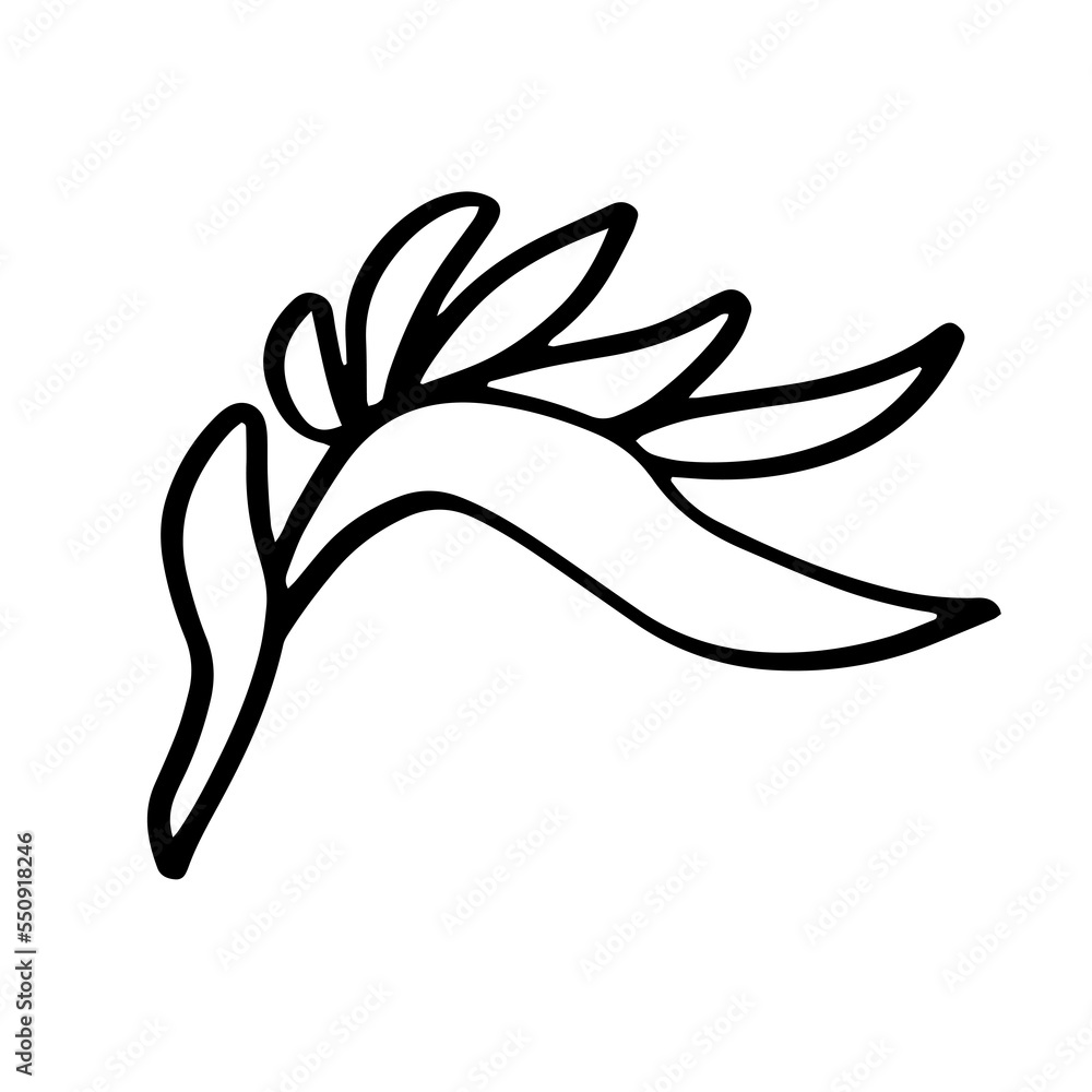 Flower hand drawn illustration Flower hand drawn illustration