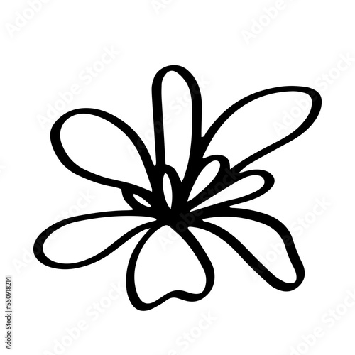 Flower hand drawn illustration