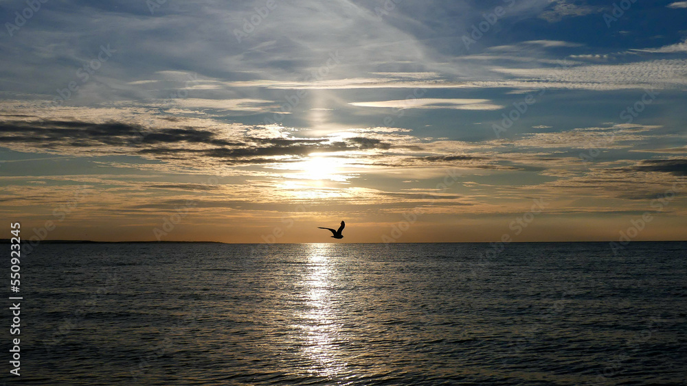 Fototapeta premium Dramatischer Sonnenuntergang über dem Meer: Die tief stehende Sonne sendet einen Lichtstrahl und eine goldene Spiegelung über das Wasser, mit einem Vogel in der Mitte.