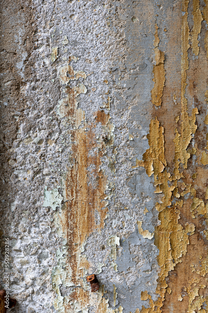 peeling paint on a wall peeling paint on a wall