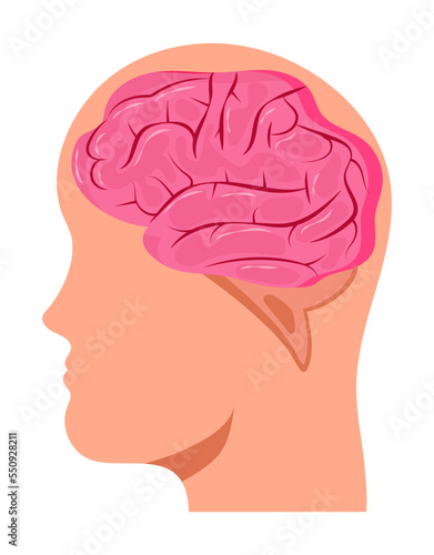 Brain of human, big head concept vector. Neurology problems, Parkinson disease and Alzheimer.