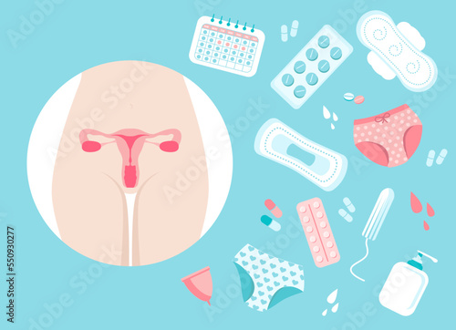 Female reproductive system. Organs location scheme uterus, cervix, ovary, fallopian tube icon