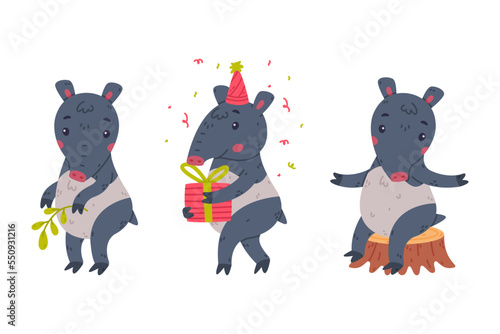 Cute Grey Tapir Animal with Proboscis Sitting on Tree Stump and with Gift Box Vector Set