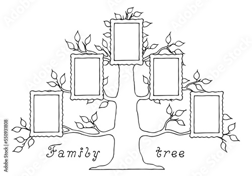 Family tree in doodle style. Family tree with photo frames. Coloring for children. Hand Drawn.	