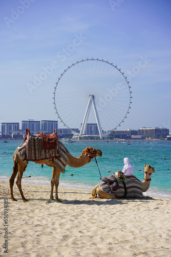 Canvas Print Dubai, Ferris wheel, camel, beach, sea, Arab