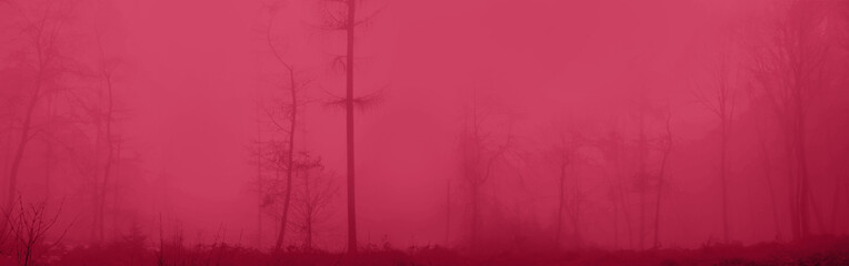 Acrylglasbilder Pantone 2023 Viva Magenta panoramic blurred blue landscape of the forest in the fog, bare tree trunks, concept horor, magic photo wallpaper  © kittyfly