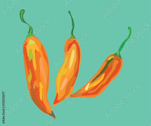  aji amarillo peruvian pepper vector illustration
