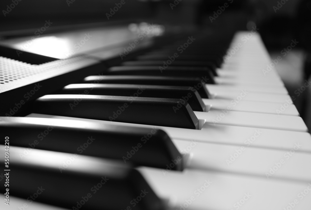 Closeup of the keys of an electronic piano in black and white Closeup of the keys of an electronic piano in black and white