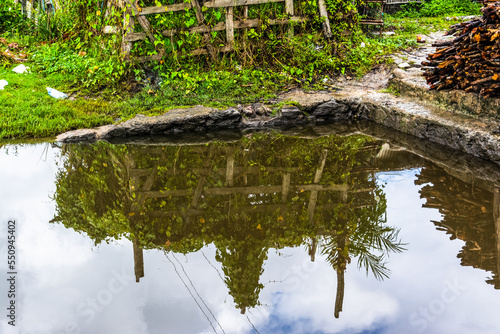 Reflection of stacked wood and vegetation in the water of a river. photo