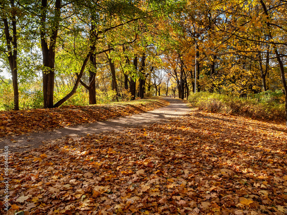 St. Petersburg, alley of the Central Park on Elagin Island in autumn. St. Petersburg, alley of the Central Park on Elagin Island in autumn.