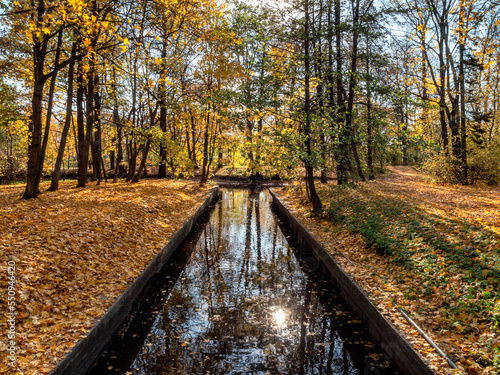 St. Petersburg, canal in the Central Park on Elagin Island in autumn.