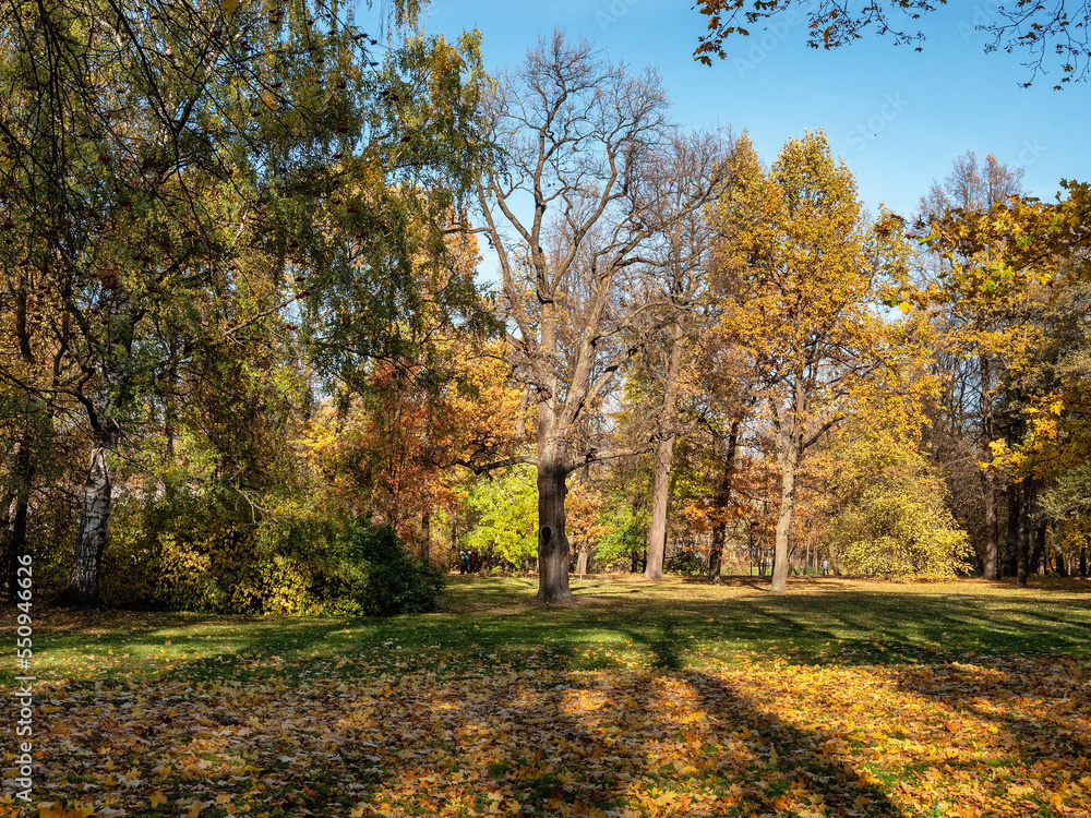 St. Petersburg, alley of the Central Park on Elagin Island in autumn. St. Petersburg, alley of the Central Park on Elagin Island in autumn.