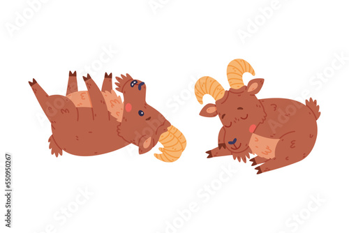 Urial Character as Wild Mountain Sheep with Horns Lying on Its Back and Sleeping Vector Set