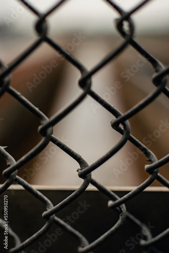 Chainlink fence bokeh