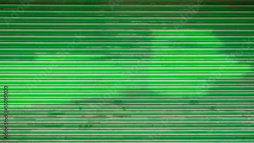 Pintura verde clara cubriendo puerta metálica verde de garage