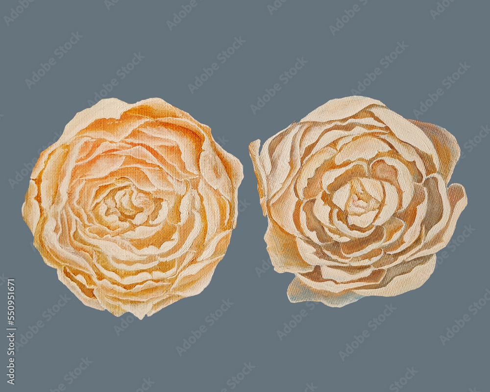 peonies oil painting light beige,creamy flowers bloom in spring fragrant bouquet of peach shade with thin translucent petals pattern seamless peonies oil painting light beige,creamy flowers bloom in spring fragrant bouquet of peach shade with thin translucent petals pattern seamless