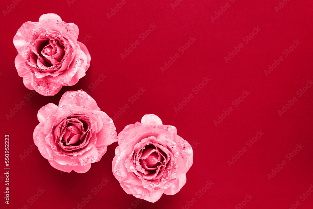 Background from white petals of a dahlia flower. Tenderness and purity Light and shadows of nature. Copy space. Background from white petals of a dahlia flower. Tenderness and purity Light and shadows of nature. Copy space.