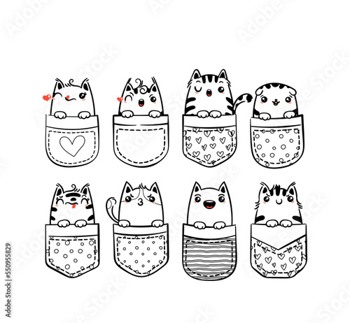 Hand Drawn Cat, Kitty, Kitten. Cute kawaii animals sitting in a pocket. Sketch, print design, illustration, children print on t-shirt