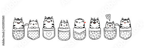 Hand Drawn Cat, Kitty, Kitten. Cute kawaii animals sitting in a pocket. Sketch, print design, illustration, children print on t-shirt