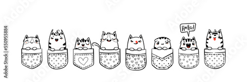 Hand Drawn Cat, Kitty, Kitten. Cute kawaii animals sitting in a pocket. Sketch, print design, illustration, children print on t-shirt