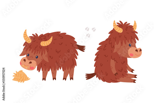 Cute Yak Character with Dense Fur and Horns Sitting and Chewing Hay Vector Set