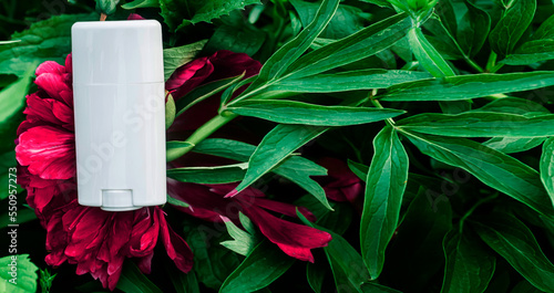 Antiperspirant deodorant stick  mockup. solid deodorant on a bouquet of Viva Magenta  peonies in the summer garden. Color 2023