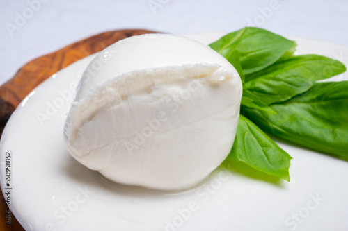 White ball of Italian soft cheese Mozzarella di Bufala Campana served with fresh green basil