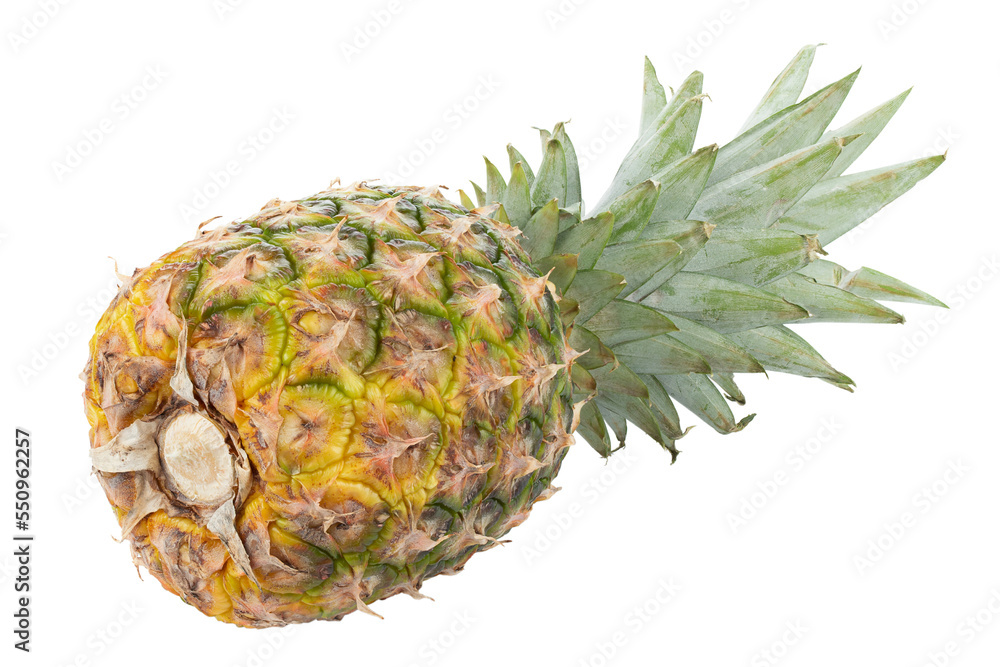 Fresh whole pineapple isolated on white background. Fresh whole pineapple isolated on white background.