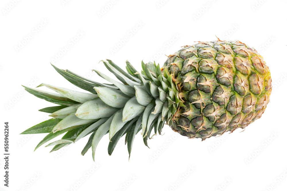 Fresh whole pineapple isolated on white background. Fresh whole pineapple isolated on white background.