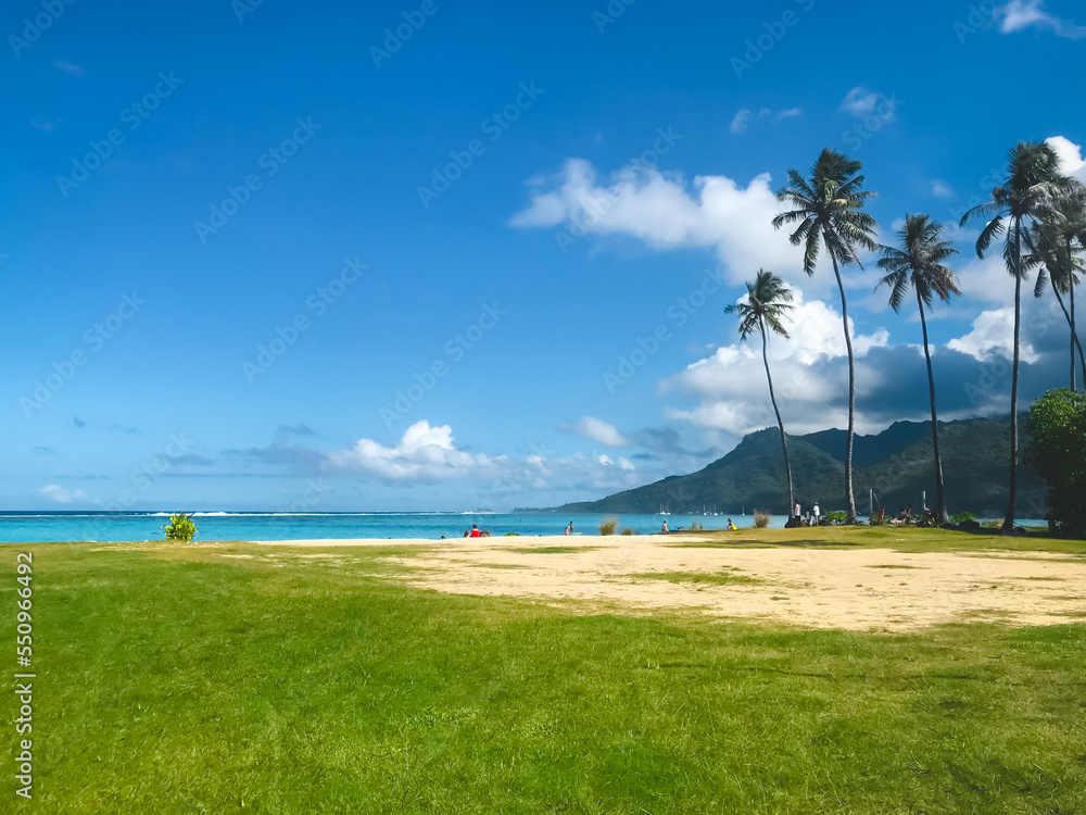 Tropical landscape with coconut palm trees, green grass and people relaxing on the beach. Beautiful nature landscape, natural background. Concept of an ideal resting place. Travel, tourism, holiday Tropical landscape with coconut palm trees, green grass and people relaxing on the beach. Beautiful nature landscape, natural background. Concept of an ideal resting place. Travel, tourism, holiday