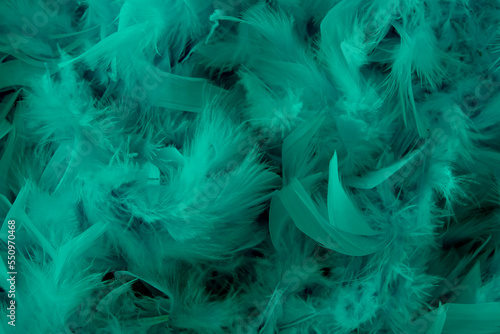 background of turquoise feathers beautiful tactile soft surfaces and texture © Ekaterina