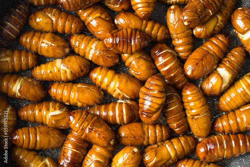 Stir-fried cocoon pupae is a special food in northeast China