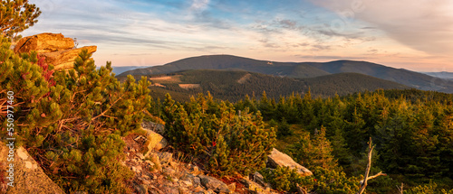 Eastern Sudetes, mountain landscape, view of the Snieznik Massif mountain peaks. The forests are lit by the setting sun.