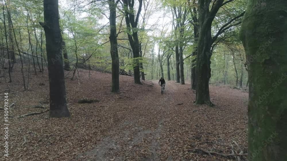 Mountainbiker riding through a forest. Mountainbiker riding through a forest.