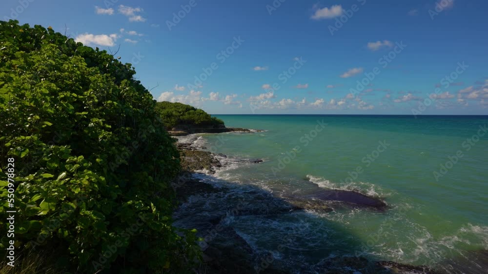 Rocky Caribbean coast in the north of the island of Jamaica. Coastal green plants are blown away by the wind from the sea. The camera moves forward smoothly. Rocky Caribbean coast in the north of the island of Jamaica. Coastal green plants are blown away by the wind from the sea. The camera moves forward smoothly.