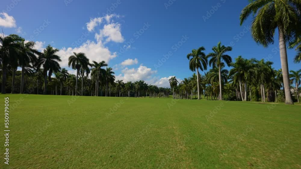 Golf course with palm trees in Jamaica. The northern shore of the Caribbean Sea in Jamaica. Hotel area, golf course, palm trees and the Mediterranean Sea in northern Jamaica. Golf course with palm trees in Jamaica. The northern shore of the Caribbean Sea in Jamaica. Hotel area, golf course, palm trees and the Mediterranean Sea in northern Jamaica.
