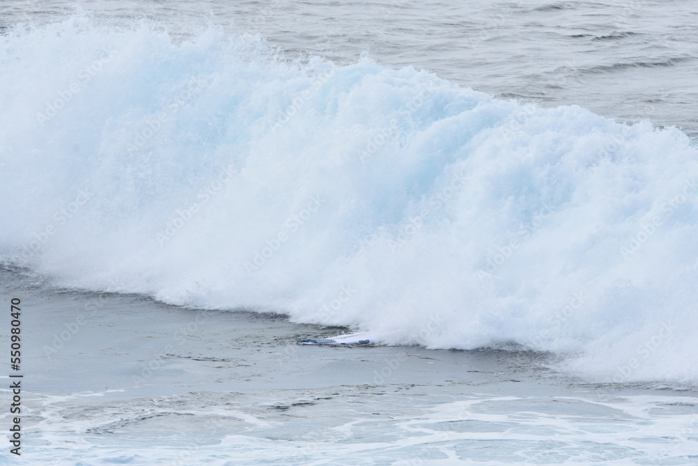 Fototapeta premium Surfing