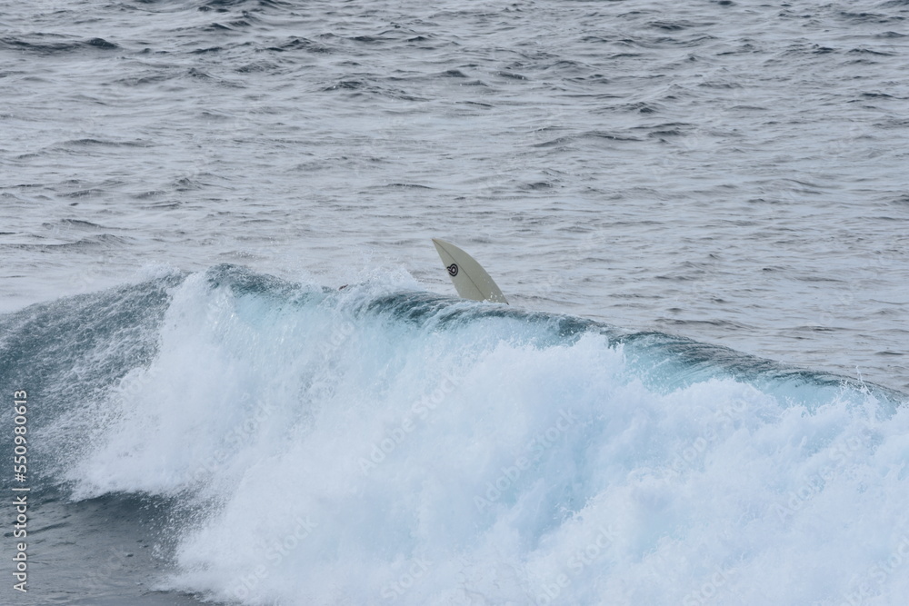 Fototapeta premium Surfing