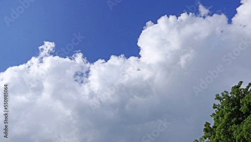 The deep blue sky with white clouds for background or texture copy space © peter