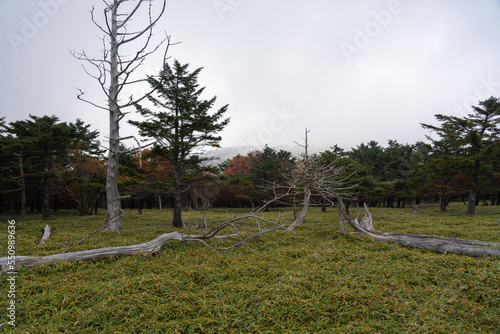 Hiking Trails in Odaigahara, Nara Prefecture photo