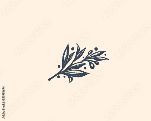 Olive Branch for olive oil logo or olive icon, hand drawn olive branch botanical herbs elements in vector format, floral olive frame and border	
