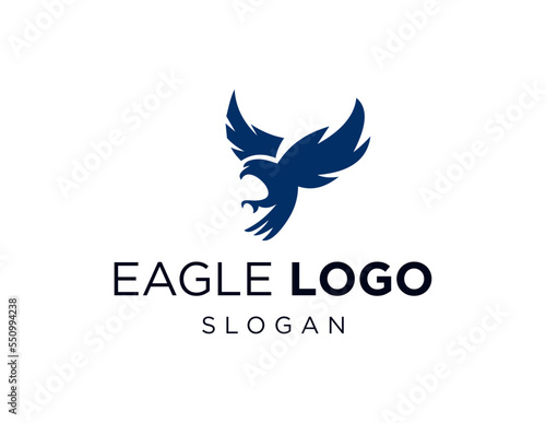 Logo about Eagle on a white background. created using the CorelDraw application.
