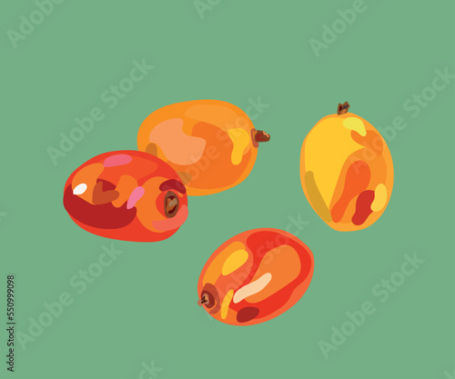  plum peruvian fruit vector illustration