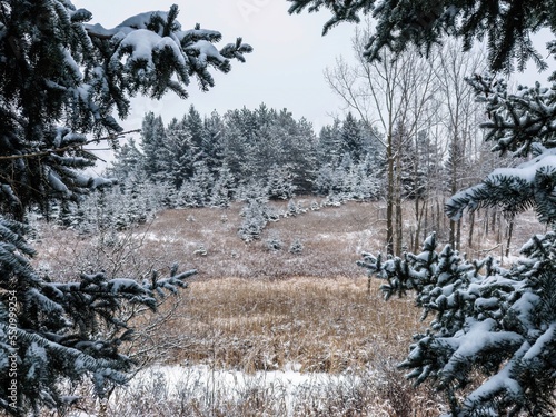 Claireville Conservation Area photo