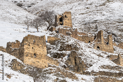 Remains of old Ingush settlement near by Guli village on sunny winter day. Ingushetia  Caucasus  Russia.
