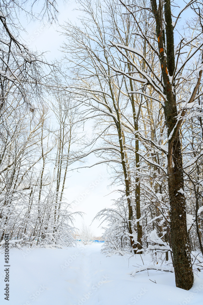 Hiking trail in a snow-covered, beautiful winter landscape. Hiking trail in a snow-covered, beautiful winter landscape.